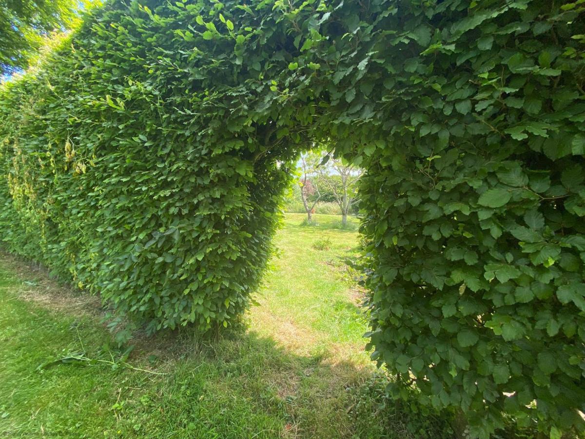 Vane Cottage - ลูอิส ภายนอก รูปภาพ